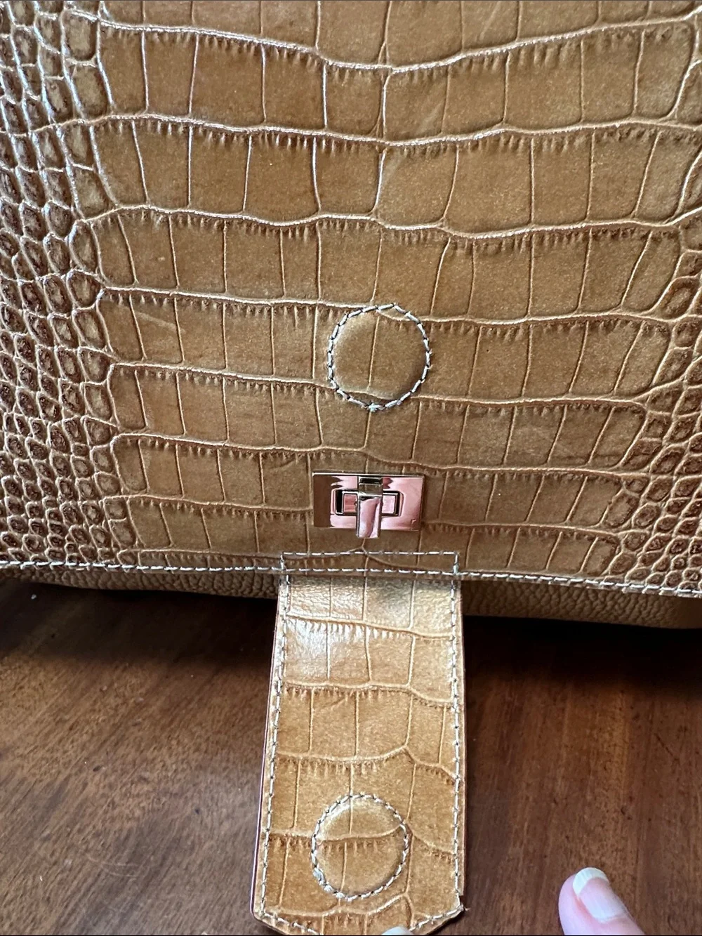 Iacucci Crossbody Satchel